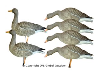 JVS Decoys Ultimate Greylag Goose (6 pcs)