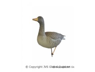 JVS Decoys Ultimate Greylag Goose