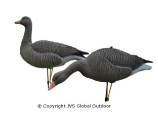 JVS Decoys Ultimate Greylag Goose
