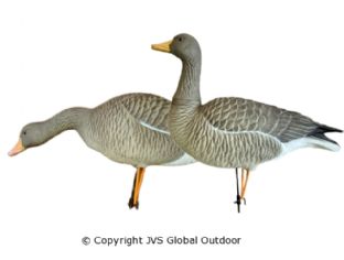 JVS Decoys Ultimate Greylag Goose (6 pcs)
