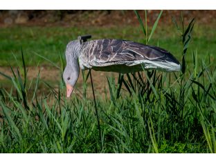 JVS Decoys Greylag Goose 2D Windsock Decoys - 12 Pack