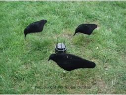 Carrousel small + 3 half-shell crow decoys