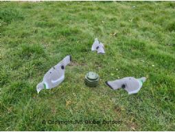 Carrousel small + 3 half-shell Pigeon decoys