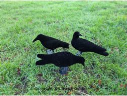 Decoy crow set flocked (12 pieces)
