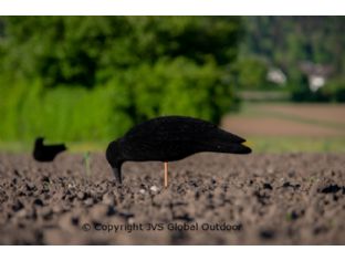 Decoy crow set XL2