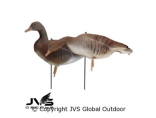 Set of 24 flocked decoy geese