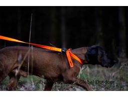 Standard Leash - Blaze Orange