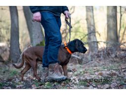 Standard Leash - Camo